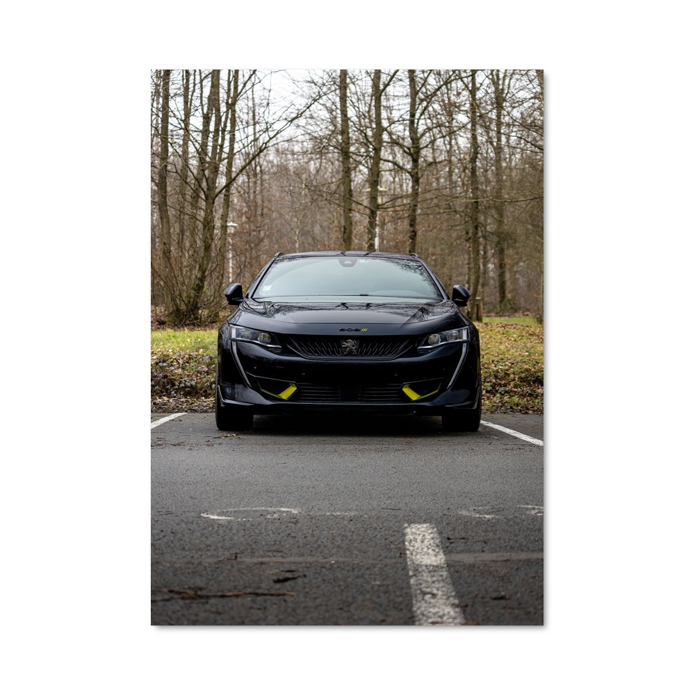Poster magnifique pse